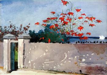 溫斯洛 荷默 A Wall, Nassau 溫斯洛 荷默 A Wall, Nassau
